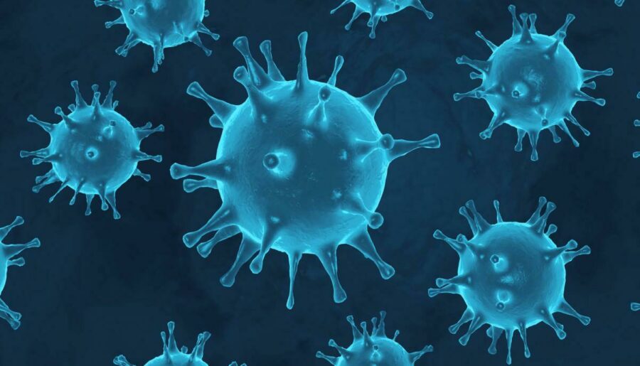 Graphic representation of coronavirus particles in blue